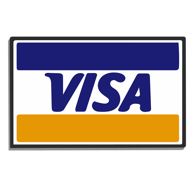 pago visa